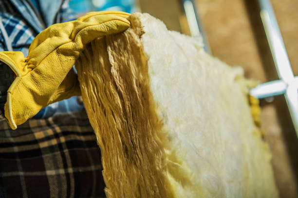 Types of Insulation We Offer in Cocoa West, FL