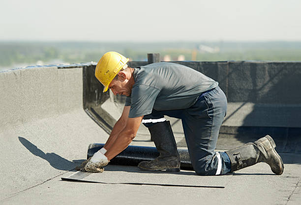 Best Cellulose Insulation in Cocoa West, FL