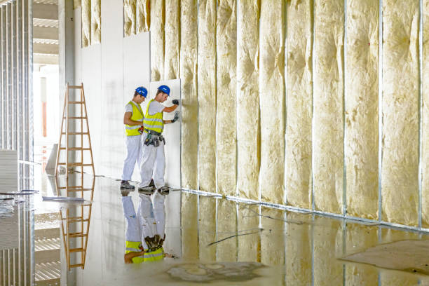 Best Energy Efficiency Insulation in Cocoa West, FL